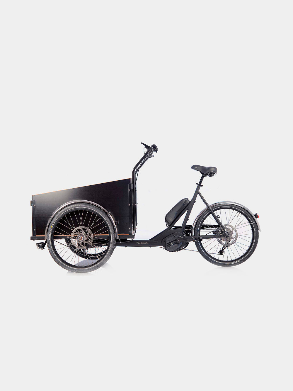 Model Light Cargo Bike with Electric Assist
